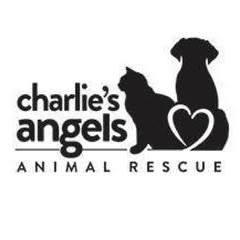 Charlies Angels Animal Rescue