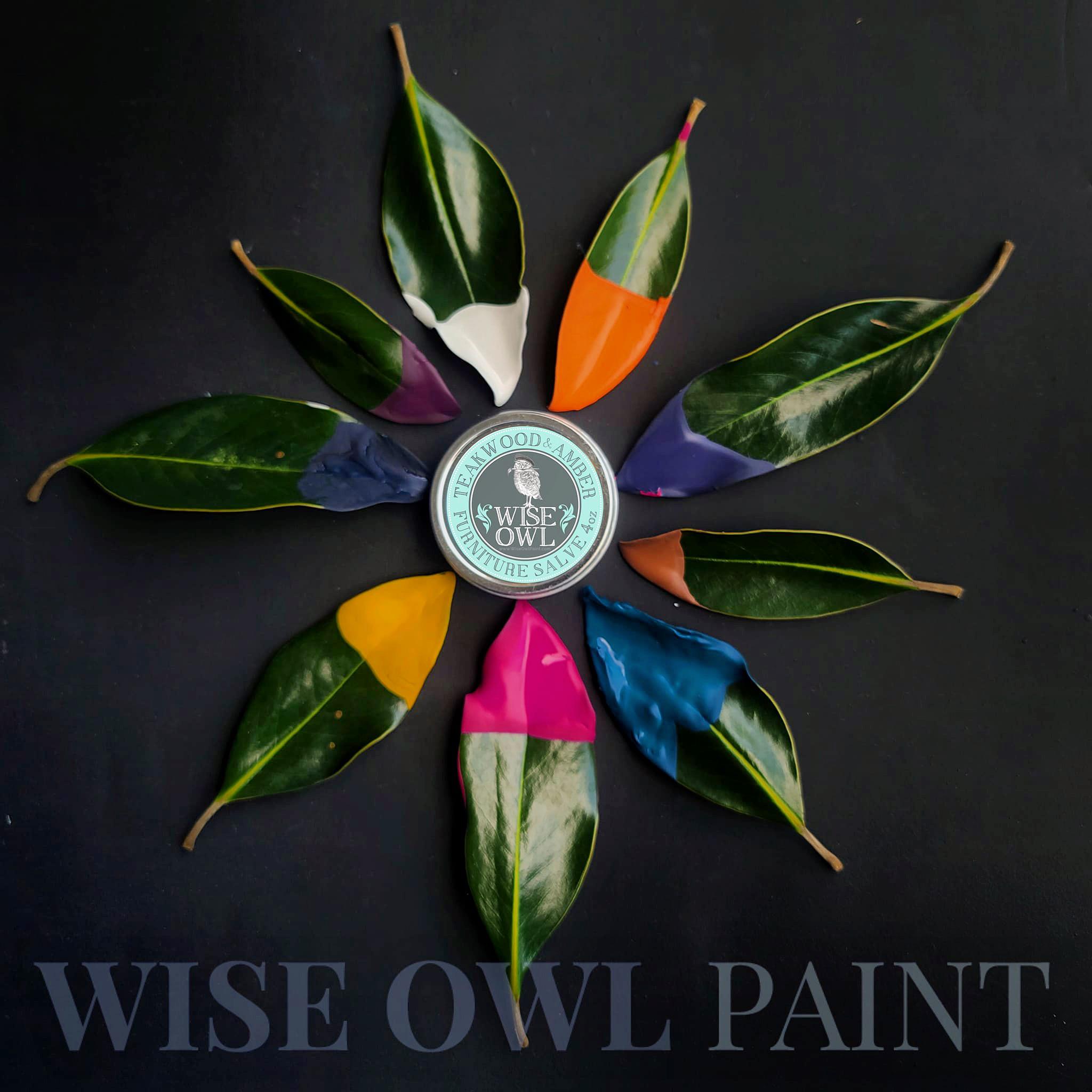 Wise Owl Paint    