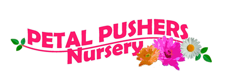 Petal Pushers Nursery